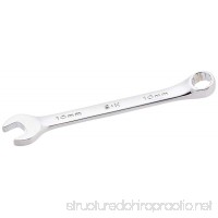 SK Hand Tool 88310 12-Point Regular Combination Wrench  10mm  Full Polished Finish - B000I1VBEA