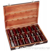 Grizzly H2930 Carving Chisel Set  12-Piece - B0000DD4AY