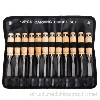 Professional Wood Carving Chisel Set - 12 Piece Sharp Woodworking Tools w/ Carrying Case - Great for Beginners by Tuma Crafts (AISHIMAN) - B07BHP7Z55