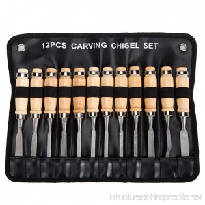 Professional Wood Carving Chisel Set - 12 Piece Sharp Woodworking Tools w/ Carrying Case - Great for Beginners by Tuma Crafts (AISHIMAN) - B07BHP7Z55