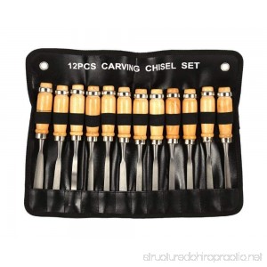 Professional Wood Carving Chisel Set - 12 Piece Sharp Woodworking Tools w/Carrying Case - B07BK2NF3M