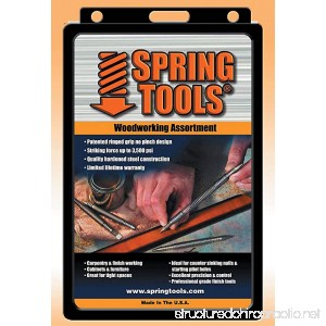 Spring Tools WWA1105 5 Piece Center Punch Nail Setter and Wood Chisel Set - B000NI1B0C