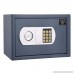 Paragon 7806 ParaGuard Elite .53 CF Lock and Safe for Home or Office - B009OJW704