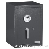 Protex Biometric Burglary Safe (HZ-53) - B007NFJ36C