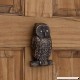 Casa Hardware Brass Owl Door Knocker in Antique Brass Finish - B072MVV5BD