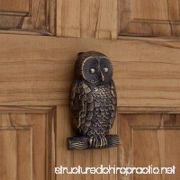 Casa Hardware Brass Owl Door Knocker in Antique Brass Finish - B072MVV5BD